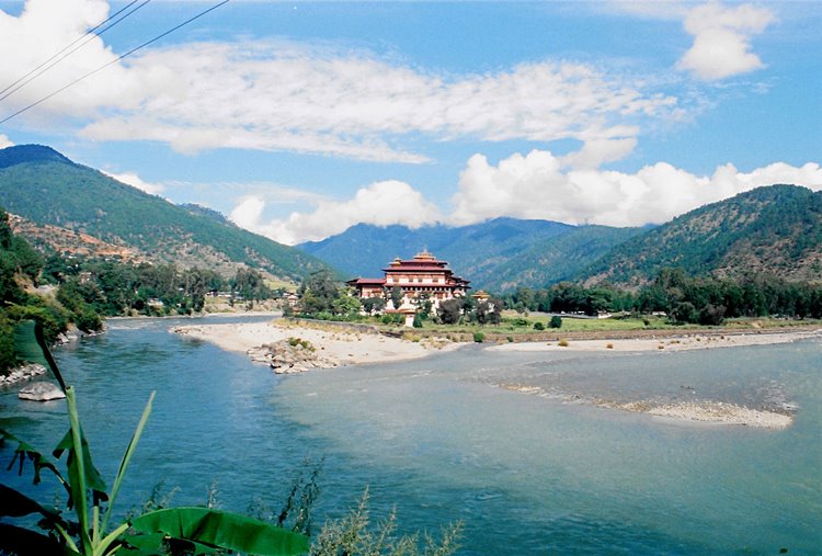 Paro | LAT.40