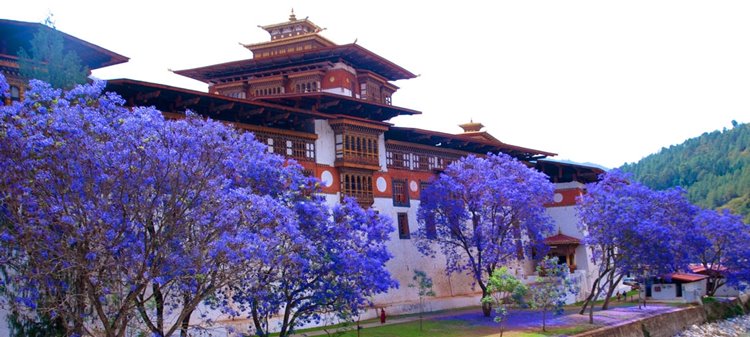 Punakha | LAT.40