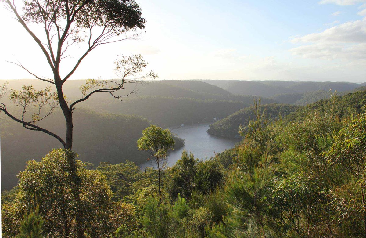 Berowa Valley National Park | LAT.40