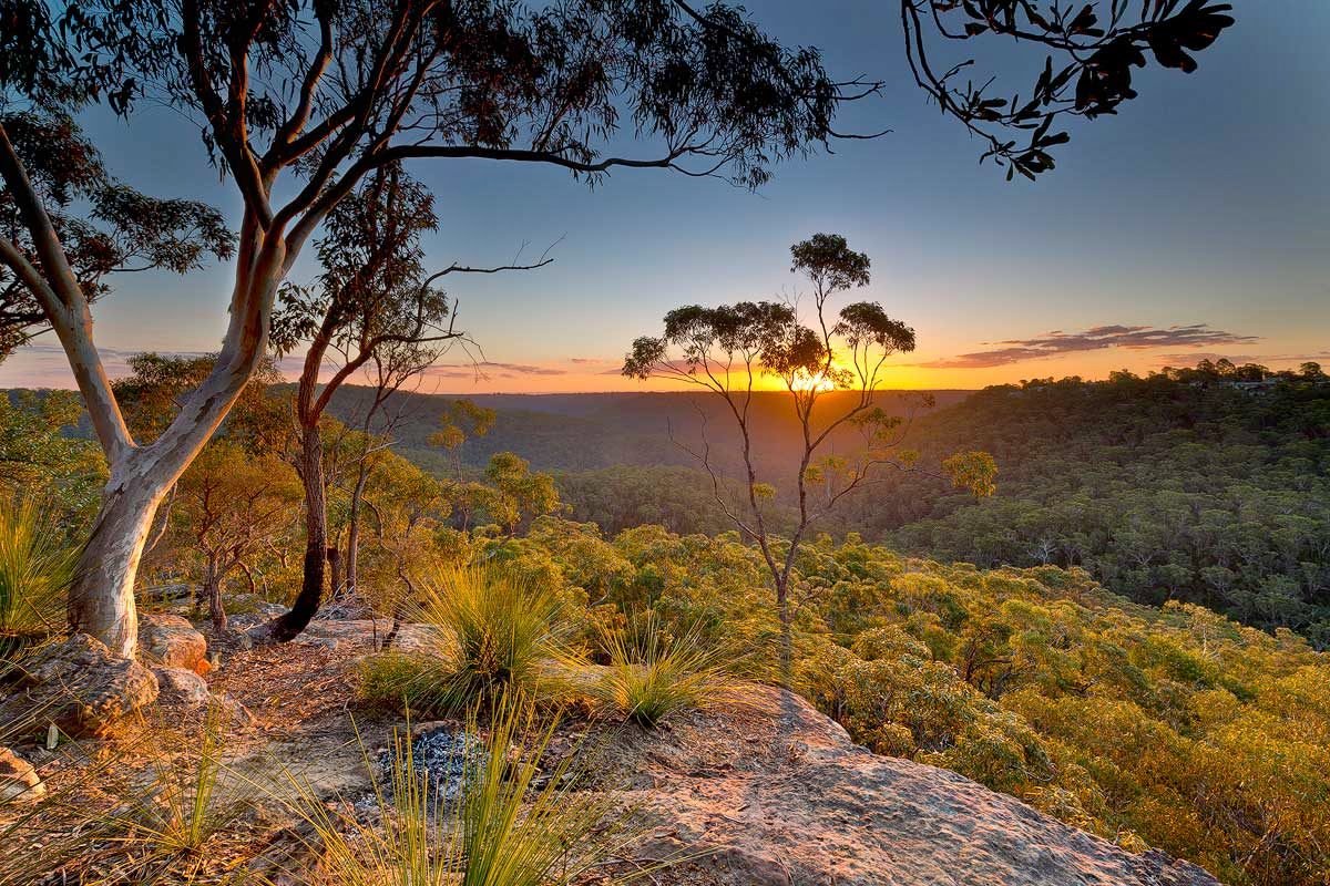 Berowa Valley National Park | LAT.40