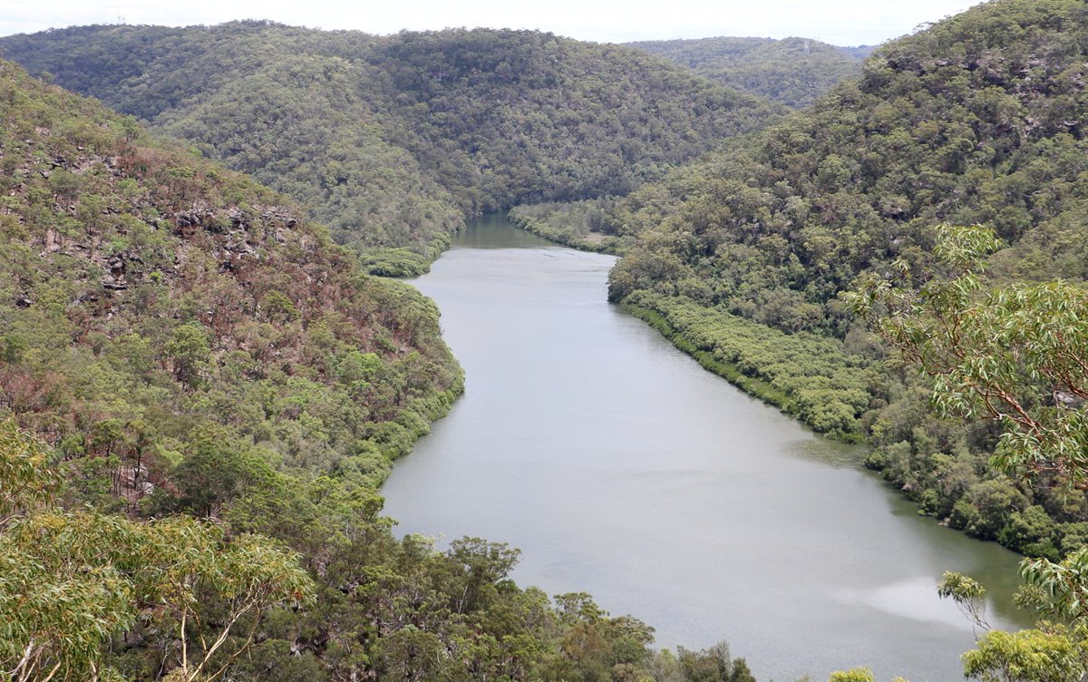 Berowa Valley National Park | LAT.40