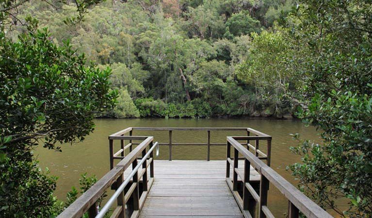 Berowa Valley National Park | LAT.40