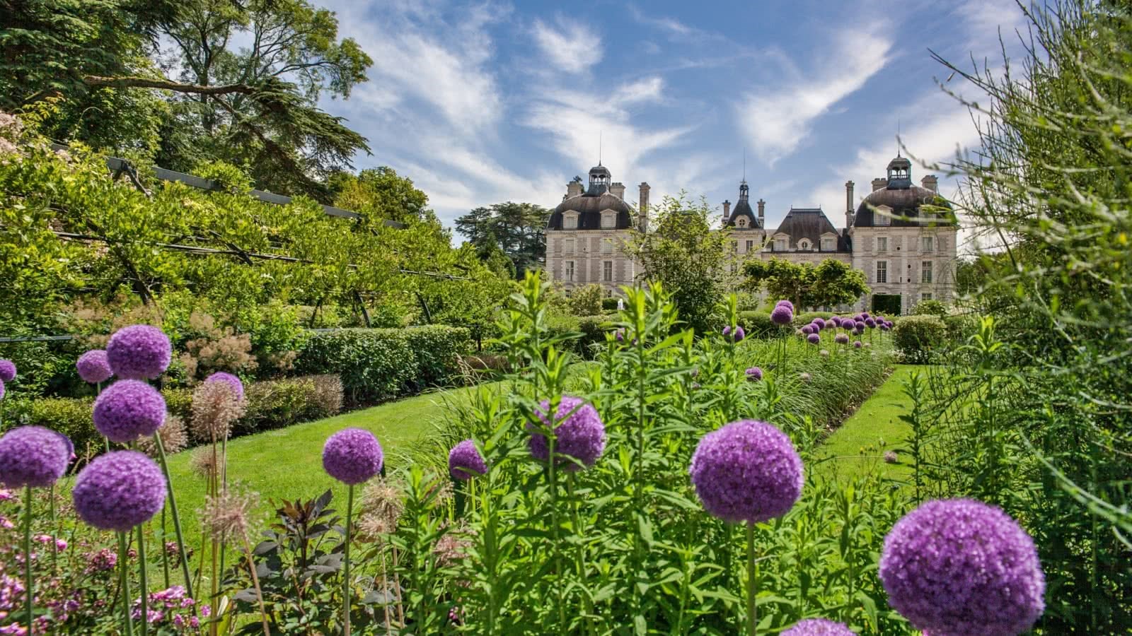 Blois | LAT.40