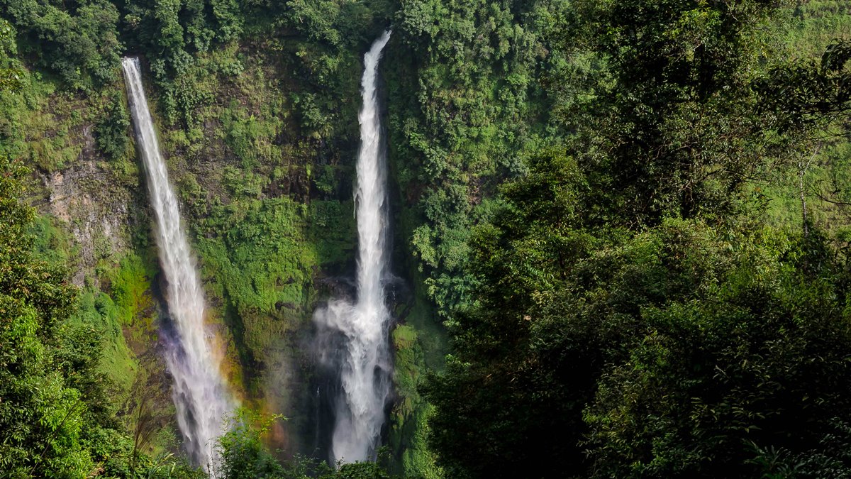 Bolaven plateau | LAT.40