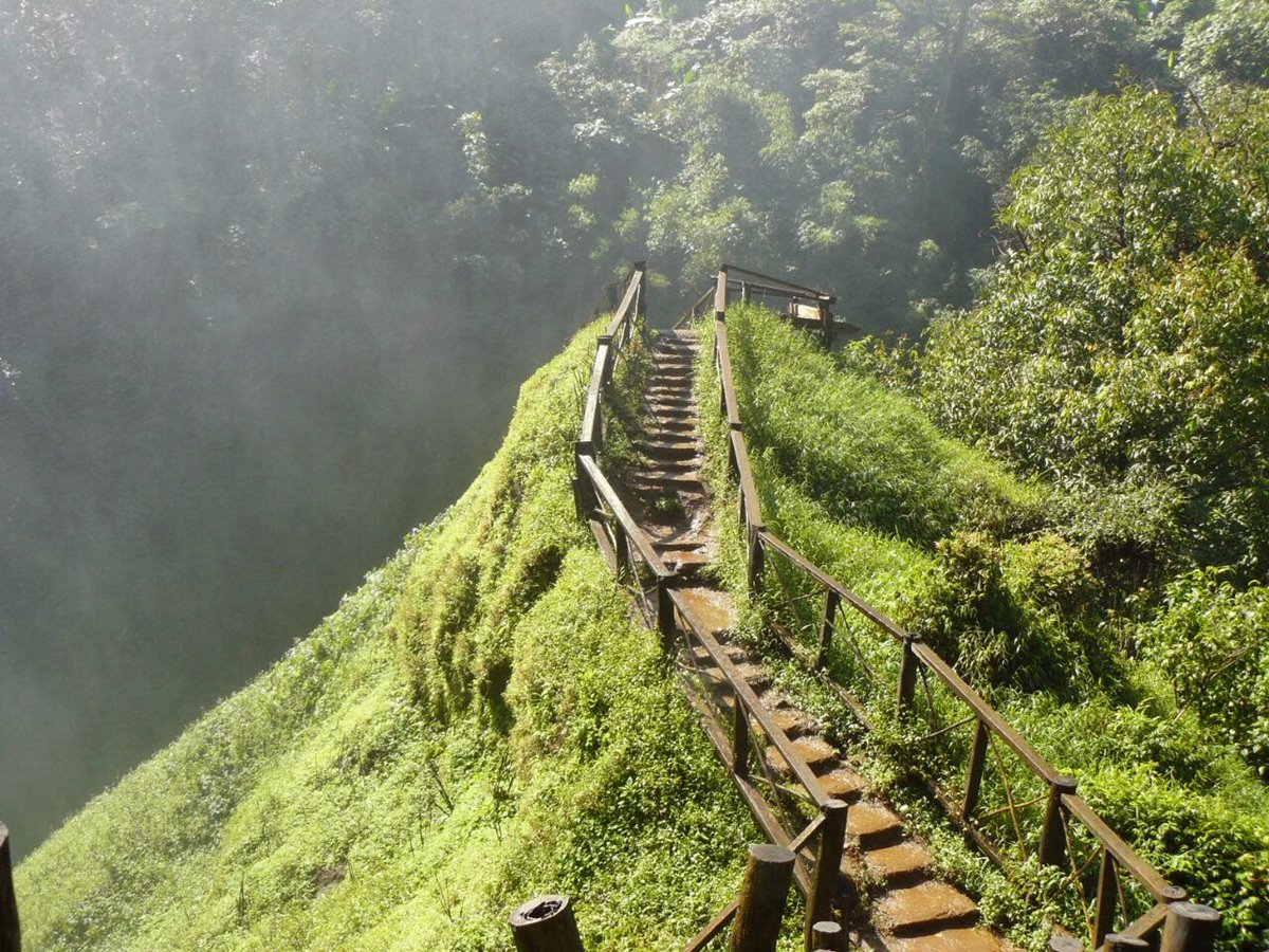 Bolaven plateau | LAT.40