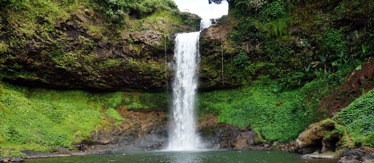 Bolaven plateau | LAT.40