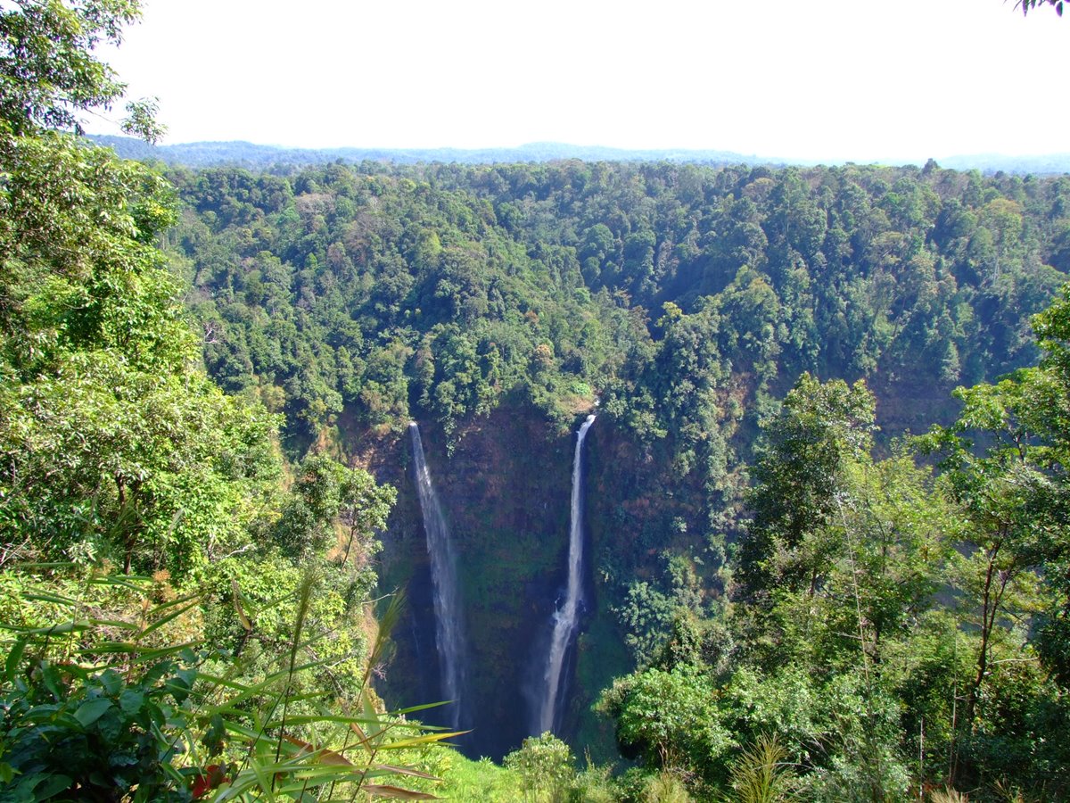 Bolaven plateau | LAT.40