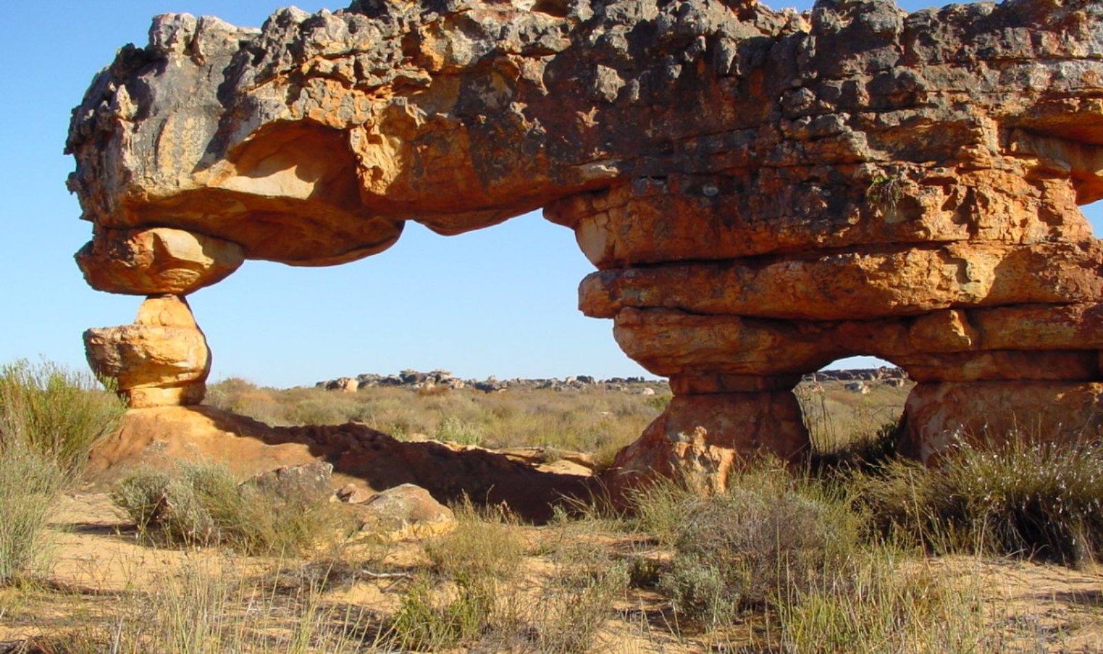 Cederberg | LAT.40