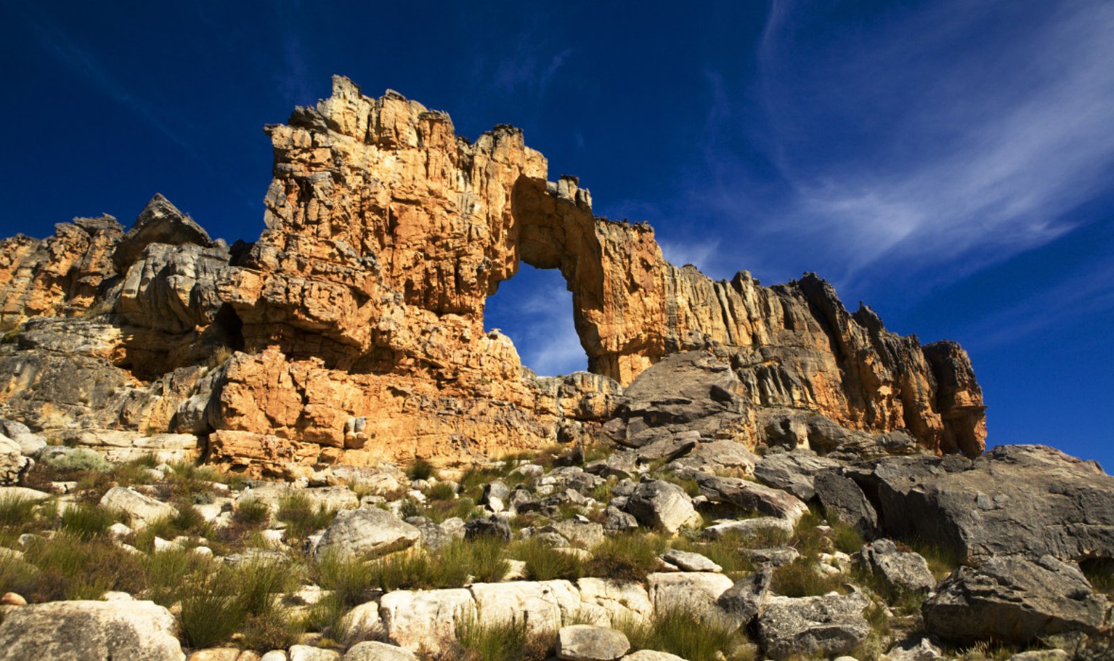 Cederberg | LAT.40