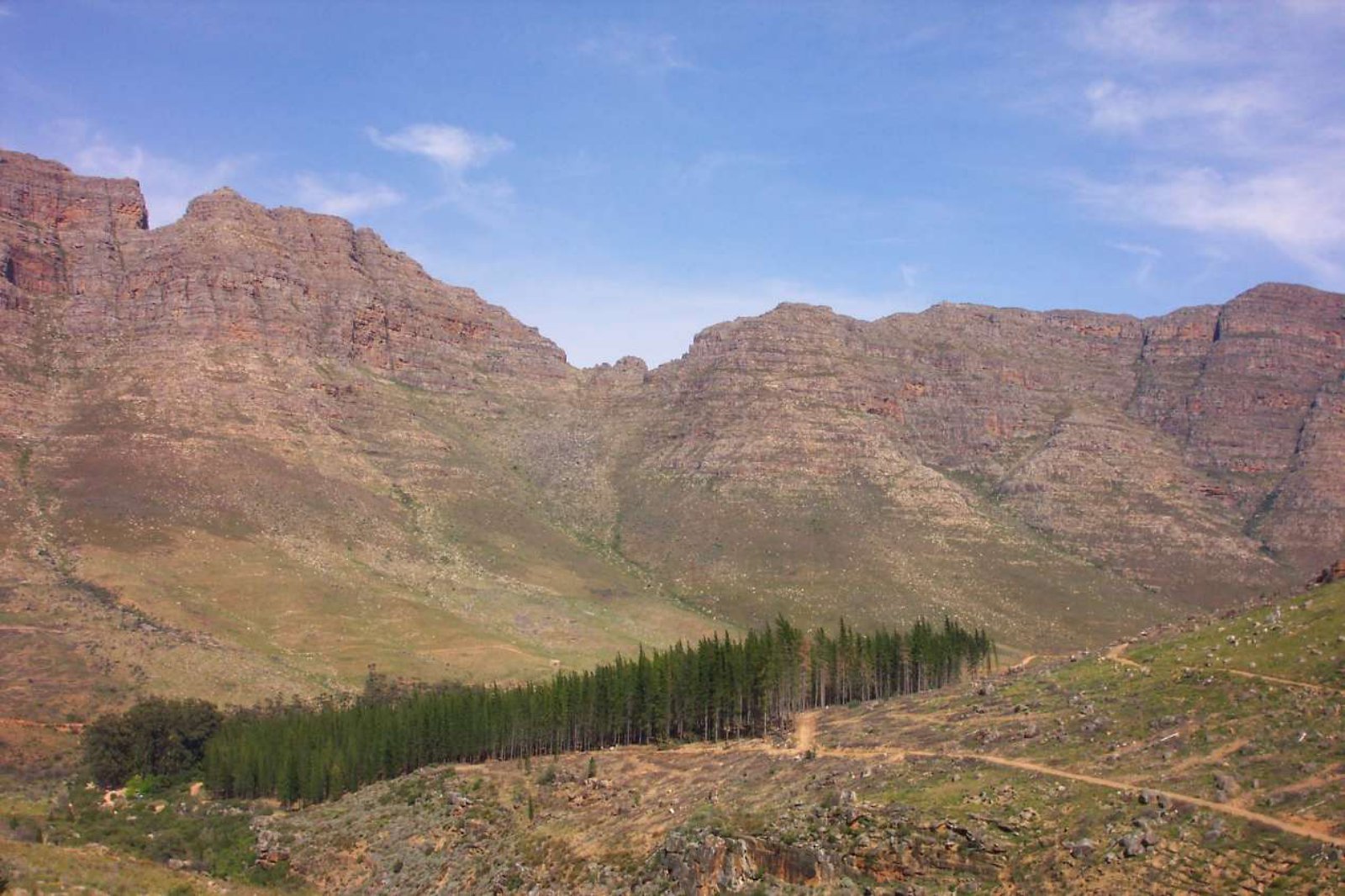 Cederberg | LAT.40