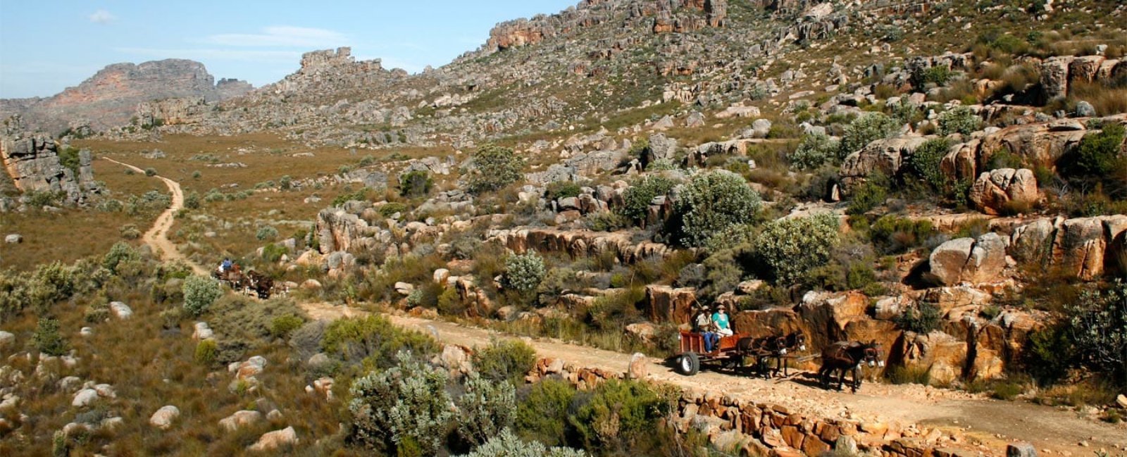 Cederberg | LAT.40