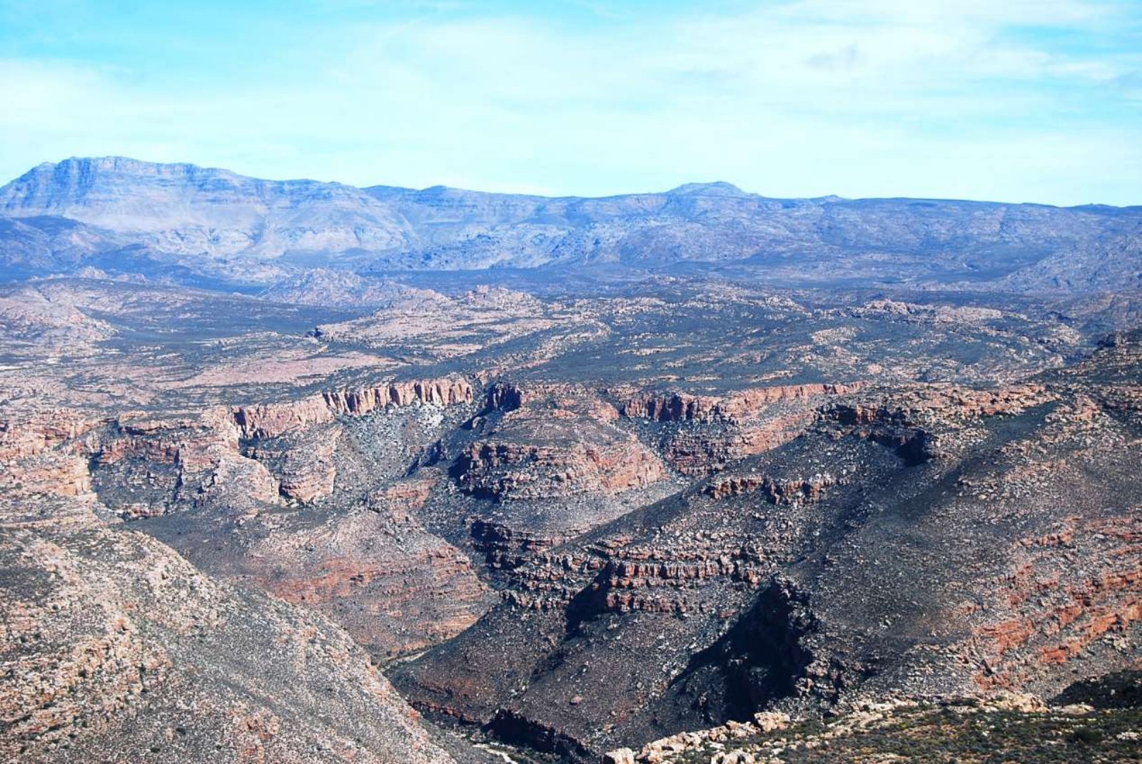 Cederberg | LAT.40