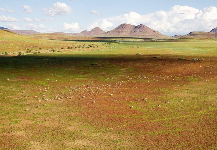 Damaraland | LAT.40