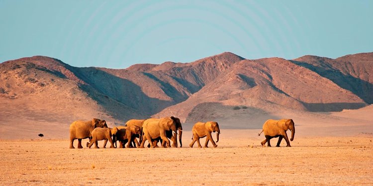 Luna de miel Ciudad del Cabo, Namibia y Lamu diseñado por LAT.40