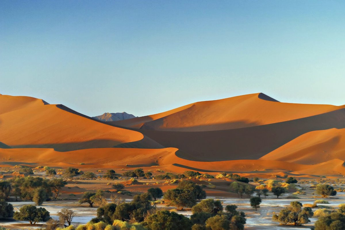 Desierto del Namib | LAT.40