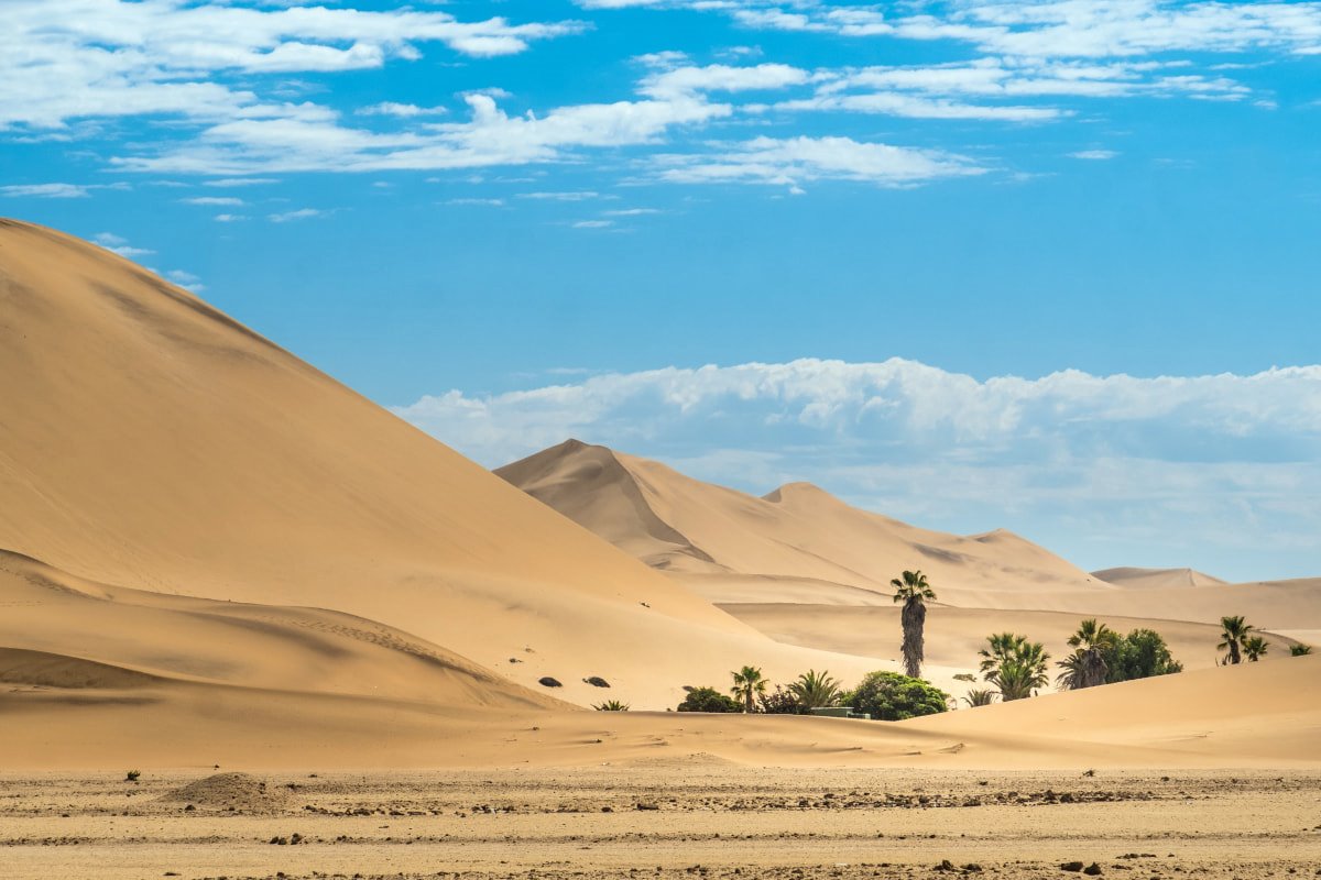 Desierto del Namib | LAT.40
