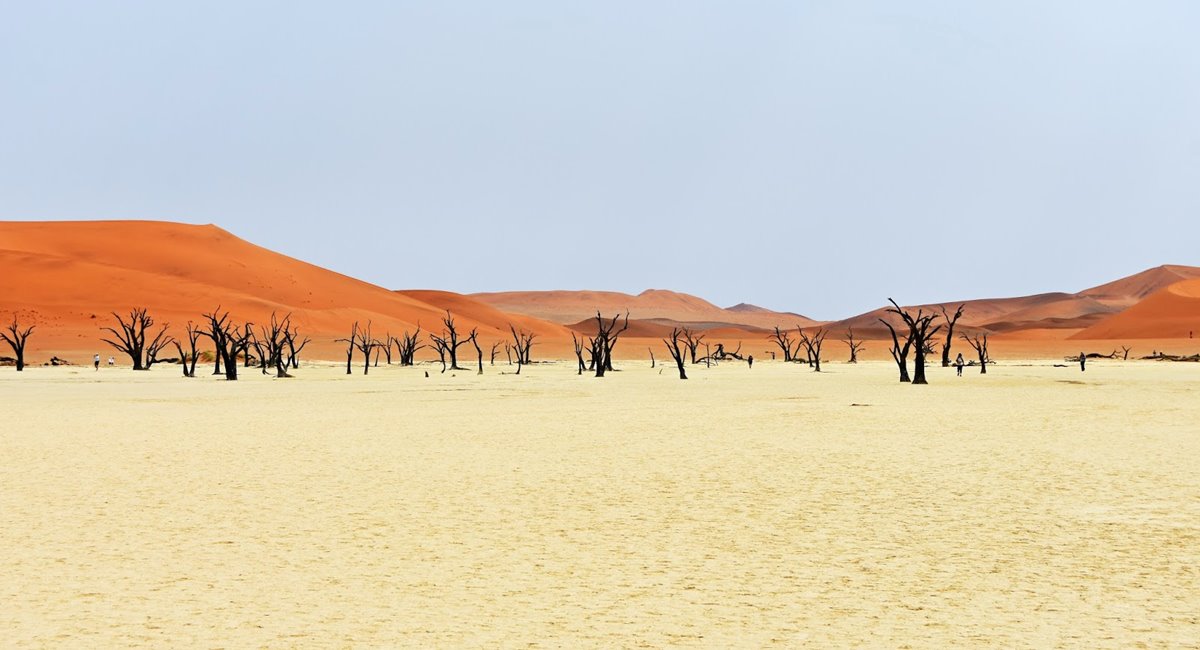 Desierto del Namib | LAT.40
