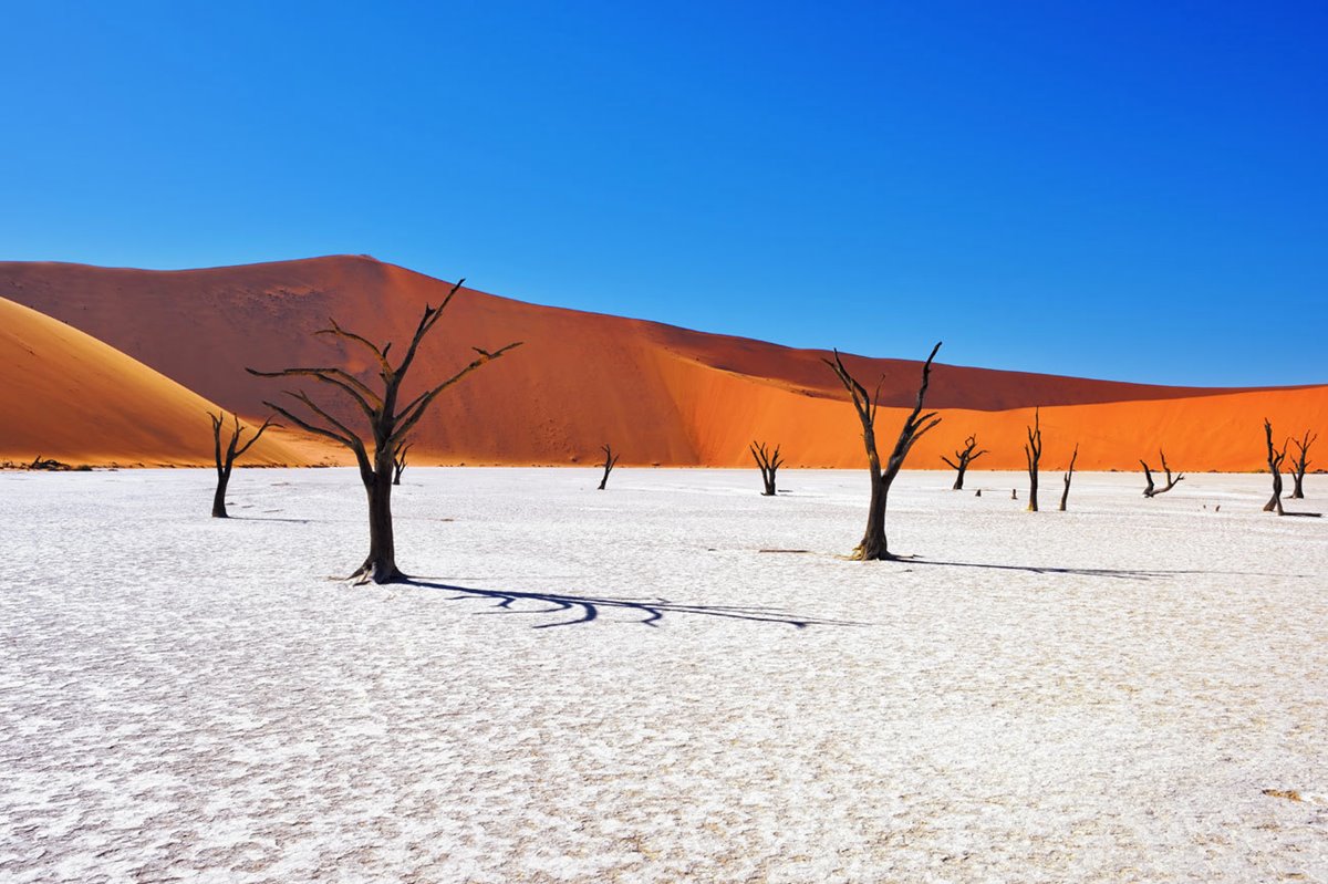 Desierto del Namib | LAT.40