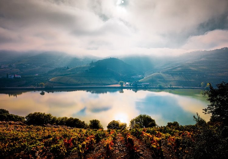 Douro Valey | LAT.40