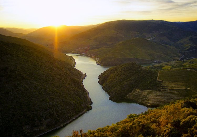 Douro Valey | LAT.40