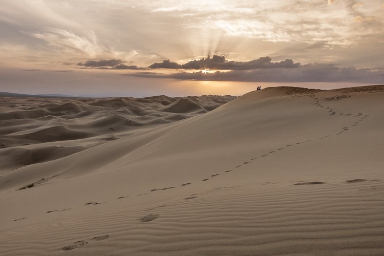 El desierto de Gobi | LAT.40