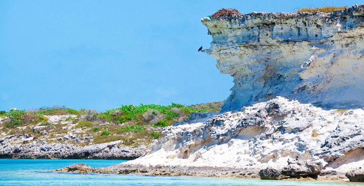 Fowl Cay | LAT.40