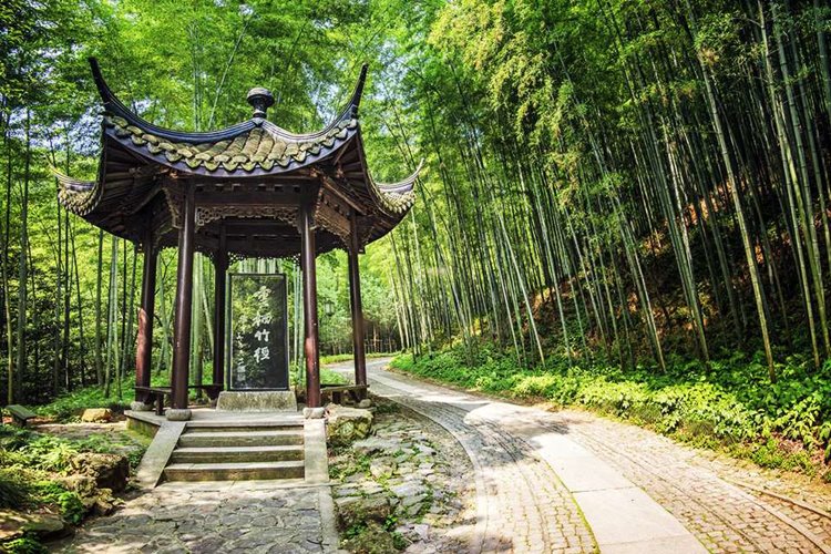 Hangzhou | LAT.40