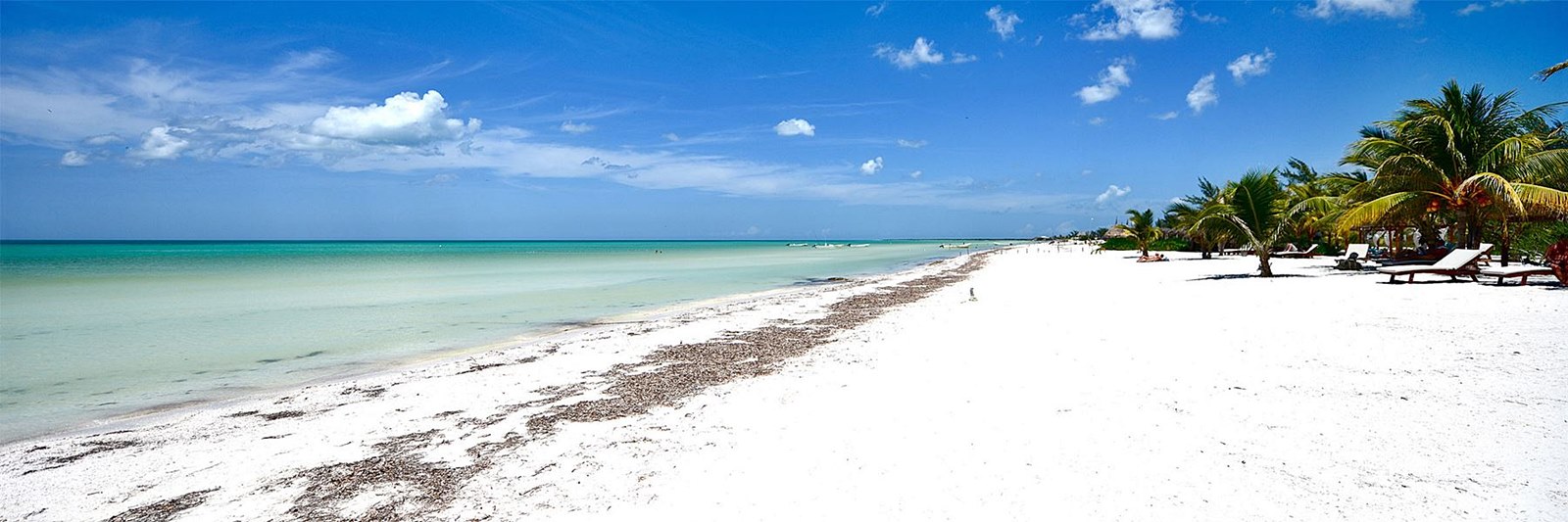 Holbox | LAT.40