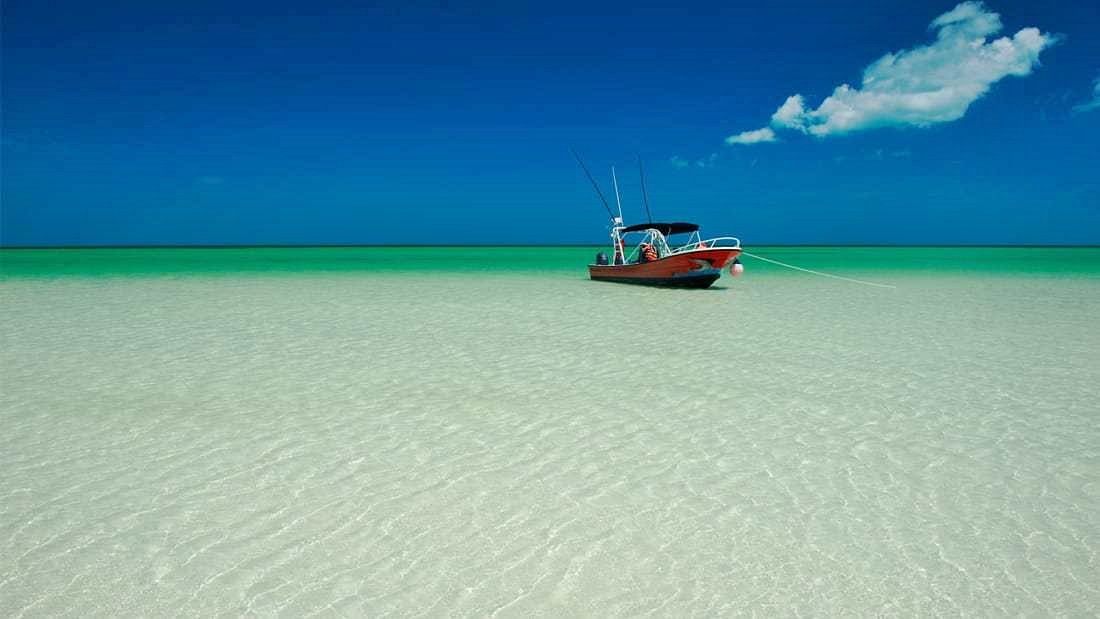 Holbox | LAT.40