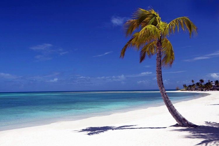Jumby Bay Island Resort | LAT.40