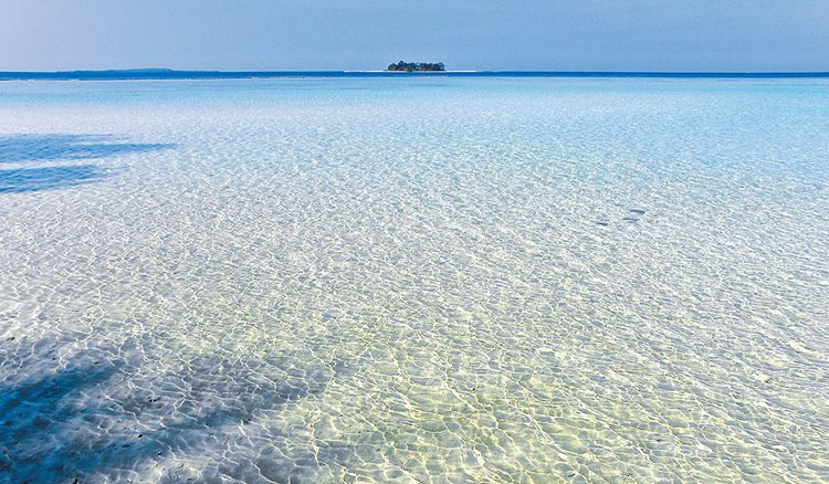Karimunjawa Island | LAT.40