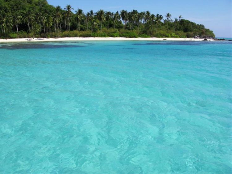 Karimunjawa Island | LAT.40
