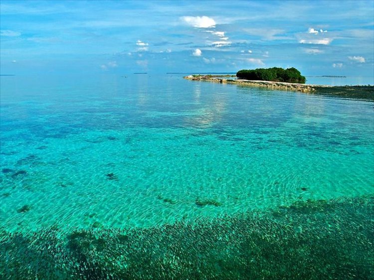 Karimunjawa Island | LAT.40