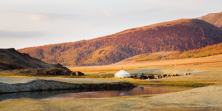 Khustai National Park | LAT.40