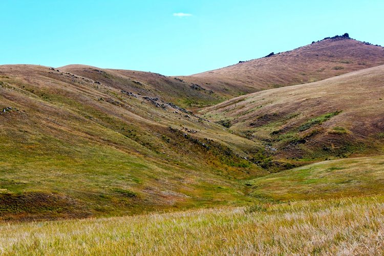 Khustai National Park | LAT.40