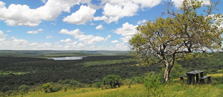 Lake Mburo National Park | LAT.40