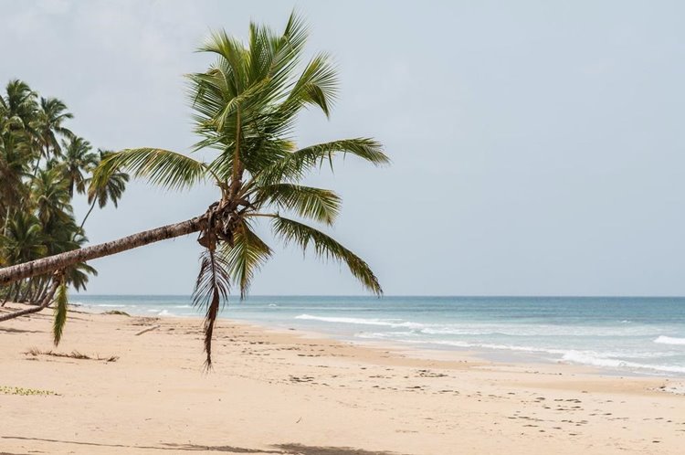 The Peninsula House en Las Terrenas