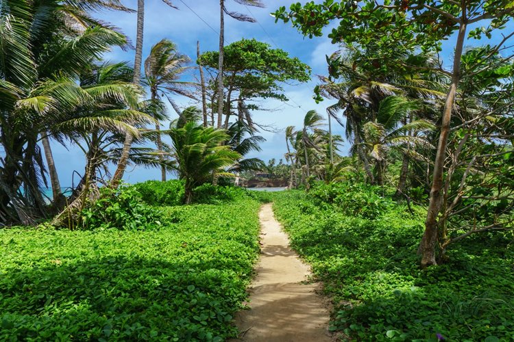 little corn island | LAT.40