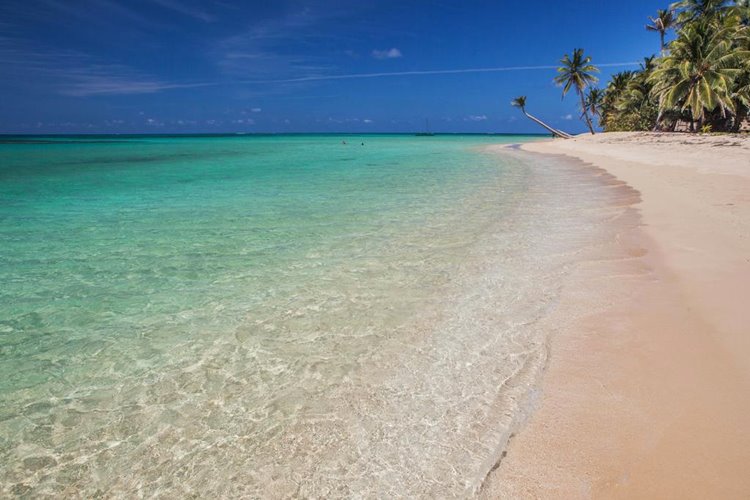 little corn island | LAT.40