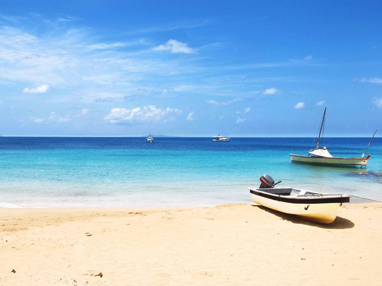 little corn island | LAT.40