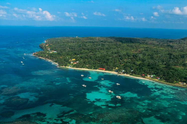 little corn island | LAT.40