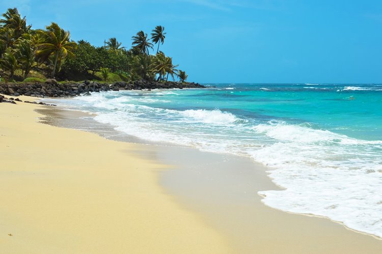 little corn island | LAT.40