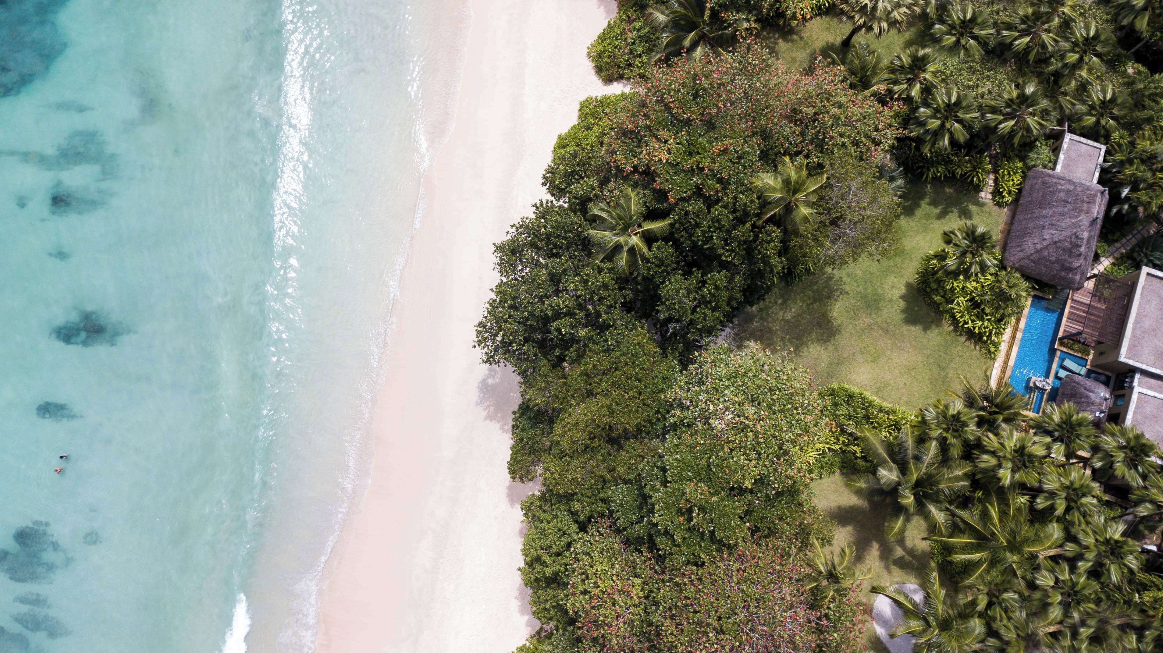 Exclusiva Kenia (Lewa, Enasoit) y Seychelles Anantara diseñado por LAT.40