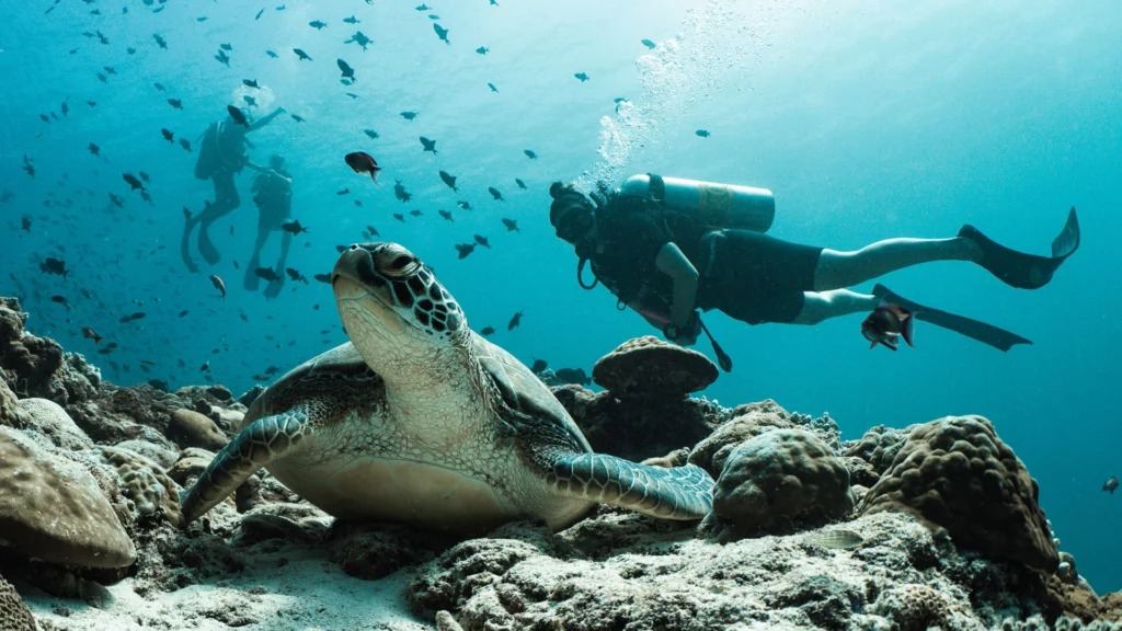 Finolhu Maldivas en Baa Atoll