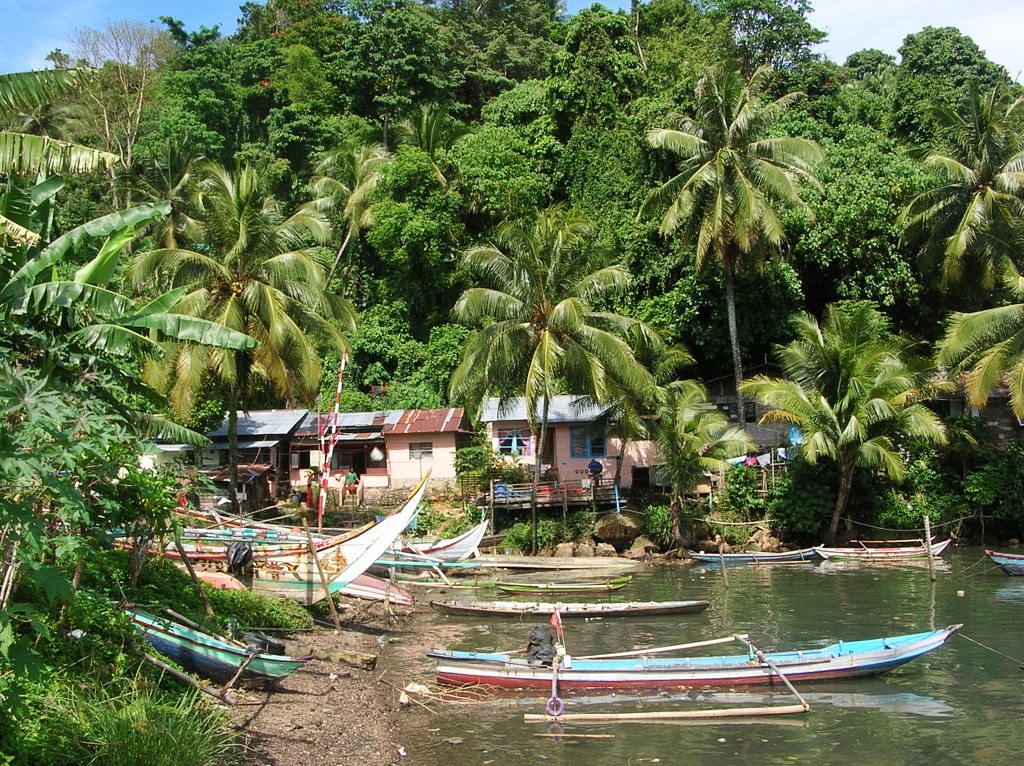 Padang | LAT.40