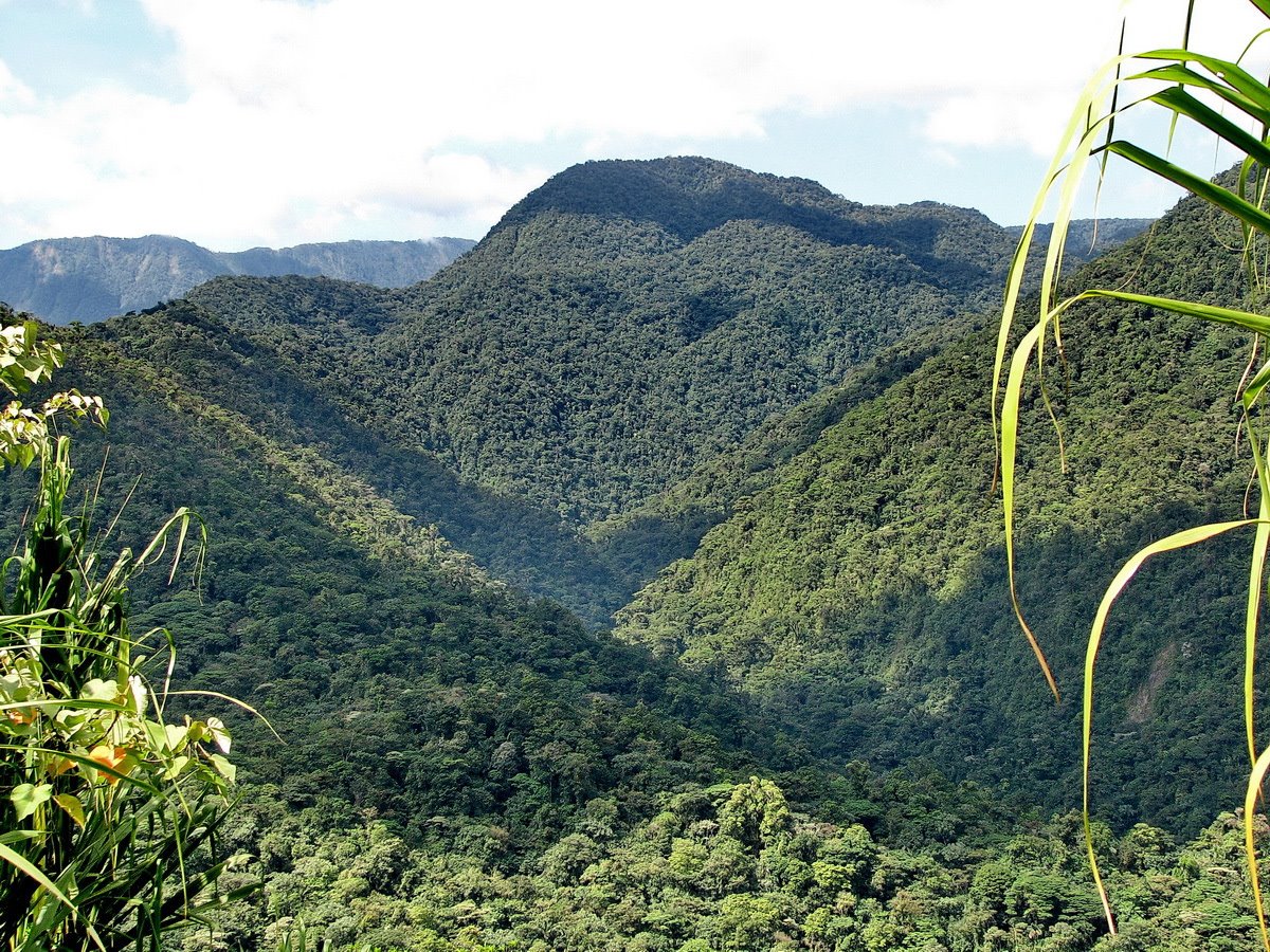 Parque Nacional Braulio Carrillo | LAT.40