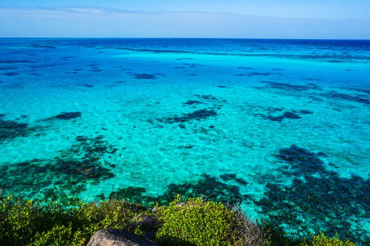 Providencia | LAT.40