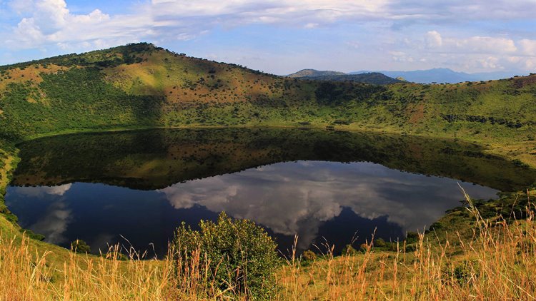 Queen Elizabeth National Park | LAT.40