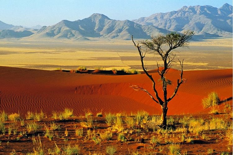 Reserva Natural de NamibRand | LAT.40