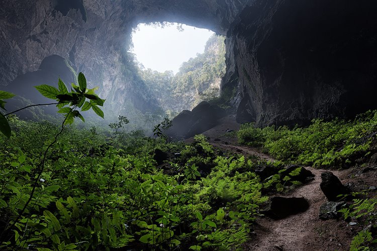 Son Doong | LAT.40
